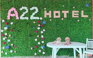 「A22微旅Hotel」
